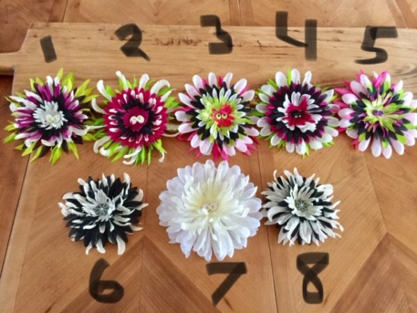 Halloween Hair Clips
