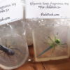 Sudz Soap Bugs - The Toy Collector Edition - Image 4