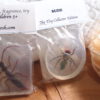 Sudz Soap Bugs - The Toy Collector Edition - Image 3