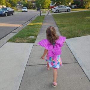 Wings and Tutus