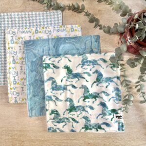 Washcloth Gift Set - Horse